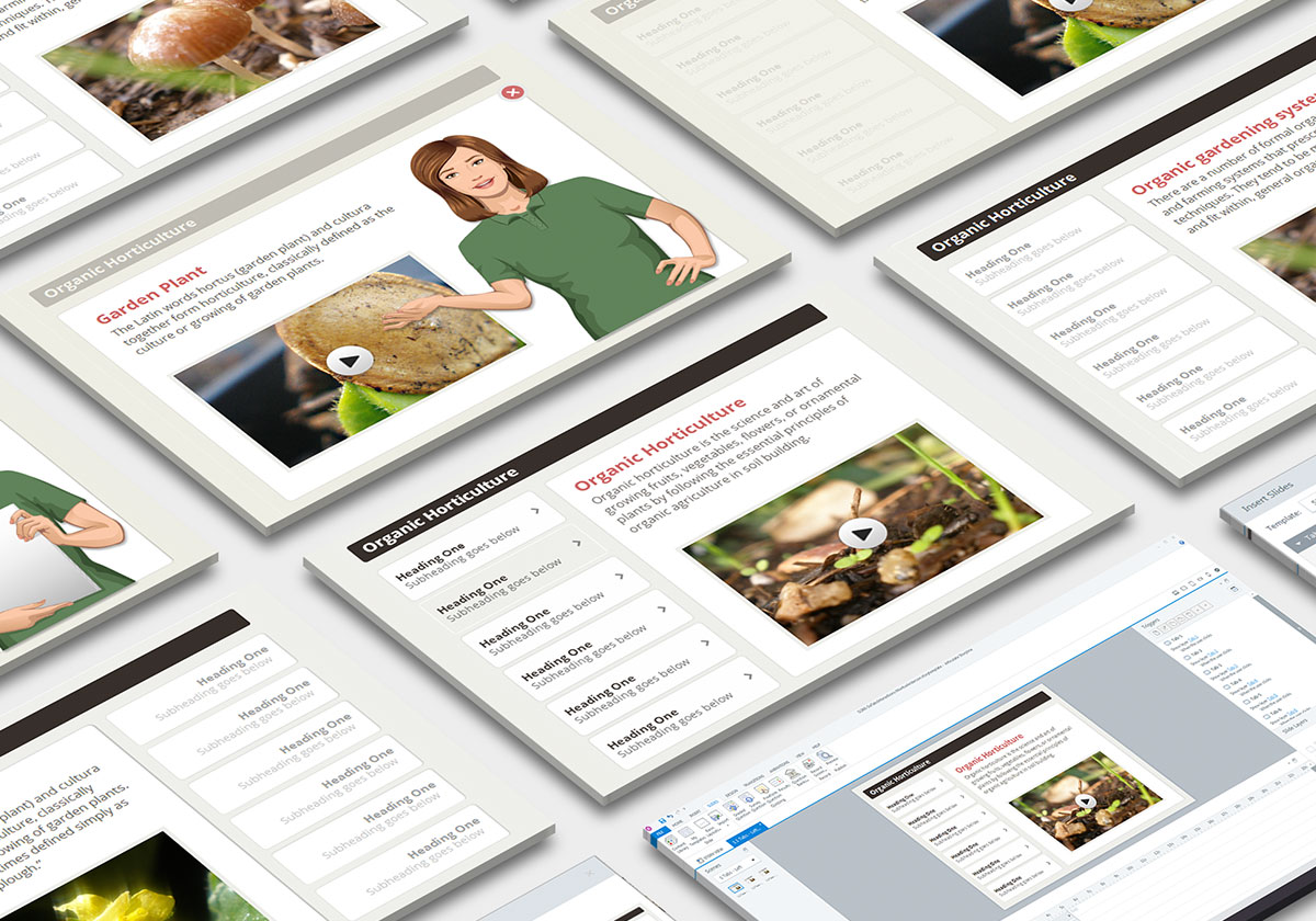 tabs interaction articulate storyline montse